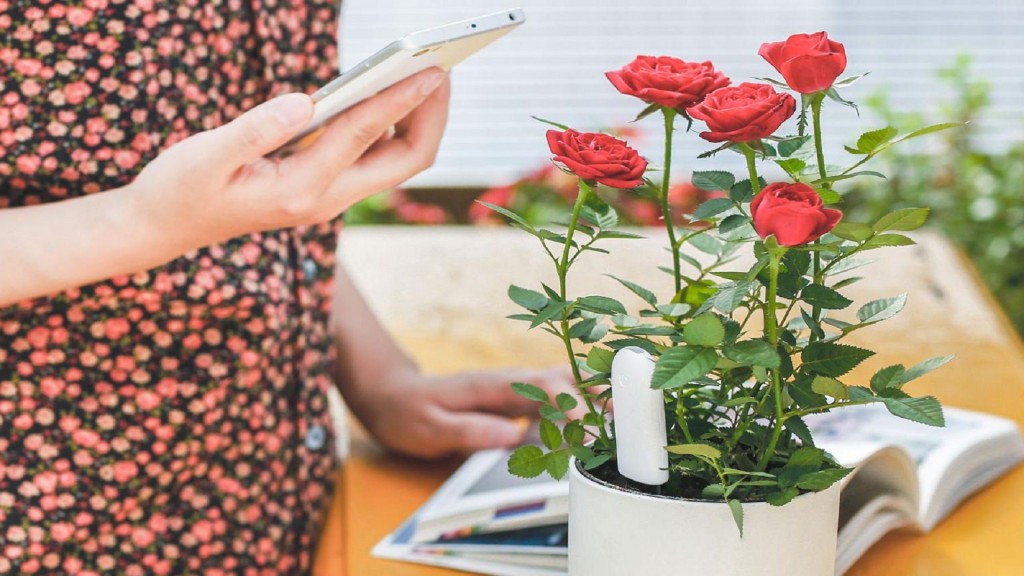 Узнайте желания ваших цветов с помощью Smart Flower Monitor